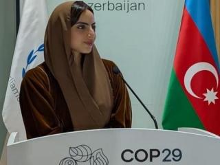 الإمارات.. «الشعبة البرلمانية» تشارك في إحدى فعاليات «COP29»