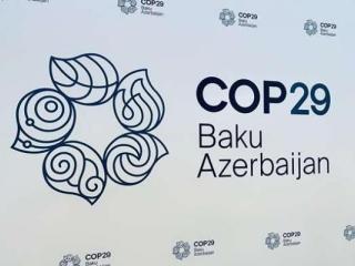 COP29 يرفع رأس المال البشري من أجل المستقبل الأخضر