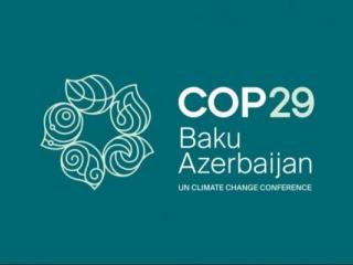 السجاد الصديق للبيئة.. أحد مفاجآت الصناعة في مؤتمر المناخ COP29