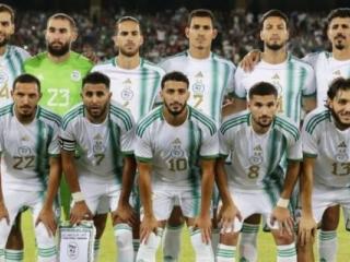 بالأرقام.. من أفضل لاعب جزائري في تصفيات كأس أمم أفريقيا؟