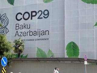 COP29.. نتائج مثيرة في تصنيف أفضل الجامعات في العالم من حيث الاستدامة