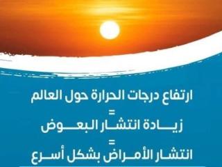 وزارة الصحة: ارتفاع درجات الحرارة يتسبب فى انتشار البعوض