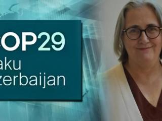 في مؤتمر COP29.. دراسة تطوير الجمارك الخضراء لتسهيل التجارة المستدامة