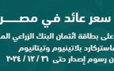 سعر اليورو اليوم الأحد 10-11-2024 في البنوك