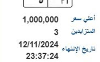 أم 5.. 3 أشخاص يتزايدون على شراء لوحة مرور مميزة في مصر بسعر مليون جنيه