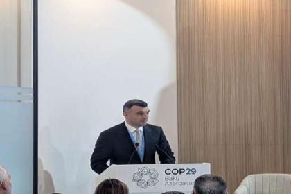 التصنيف الأخضر ينطلق من «COP29».. توسيع نطاق التمويل