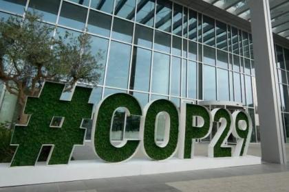 COP29.. عروض جذابة في معرض «صوت الطبيعة الفني» لزوار المؤتمر