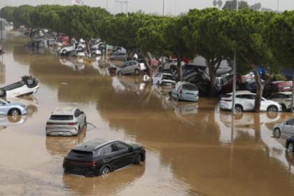 المديرة العامة للوقاية المدنية الإسبانية تعرب عن امتنانها لجلالة الملك على دعم المغرب لإسبانيا