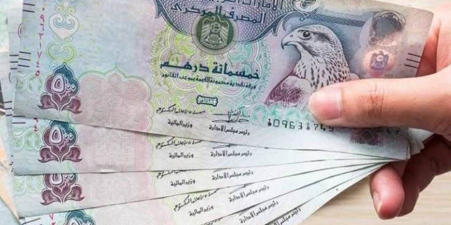 سعر الدرهم الإماراتي اليوم الأربعاء 13 نوفمبر 2024 في البنوك