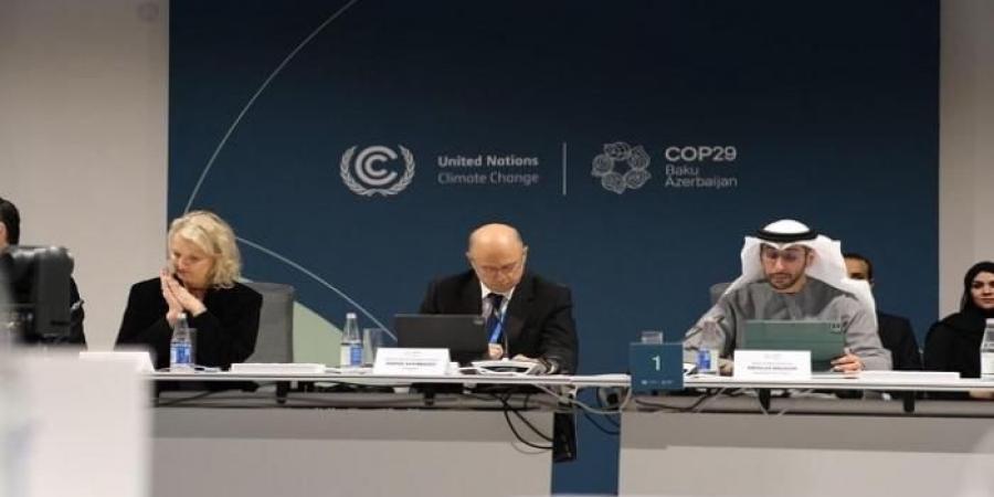 COP29.. الإمارات تدعو للشراكة العالمية في تمويل صندوق الخسائر والأضرار