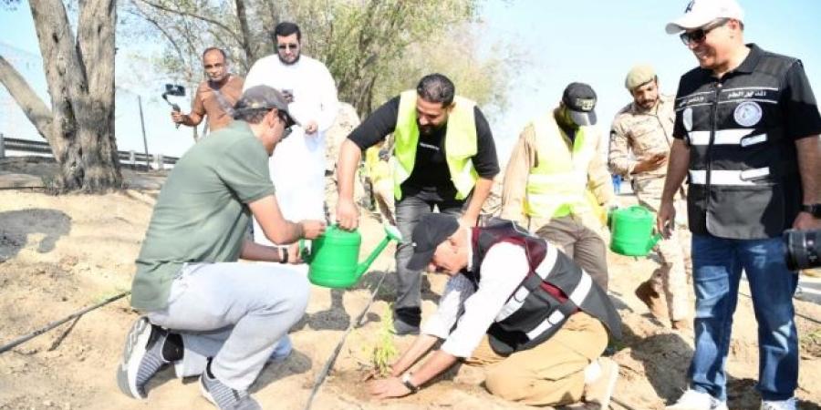 بدء أعمال تشجير الطرق السريعة في محافظة الأحمدي