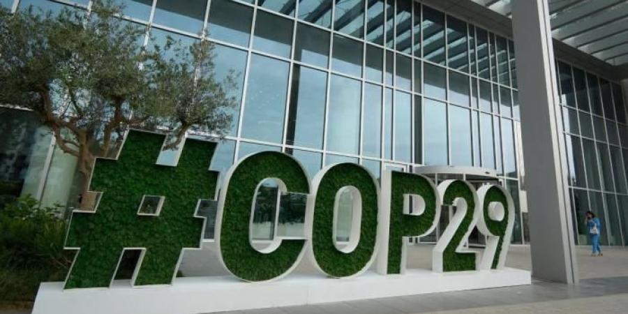 COP29.. عروض جذابة في معرض «صوت الطبيعة الفني» لزوار المؤتمر