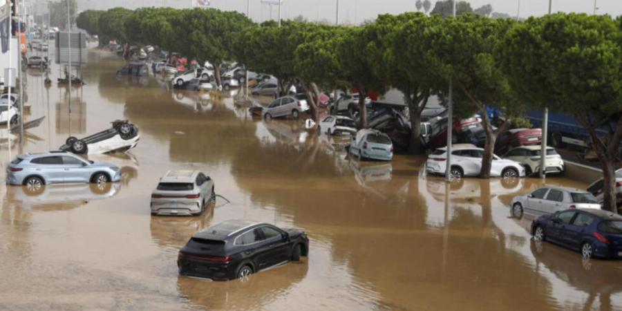 المديرة العامة للوقاية المدنية الإسبانية تعرب عن امتنانها لجلالة الملك على دعم المغرب لإسبانيا