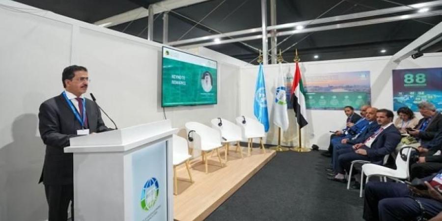 COP29.. المنظمة العالمية للاقتصاد الأخضر تدعم 11 مدينة أفريقية