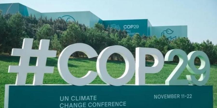 COP29.. شراكة بين المنظمة العالمية للاقتصاد الأخضر وبرنامج الأمم المتحدة الإنمائي