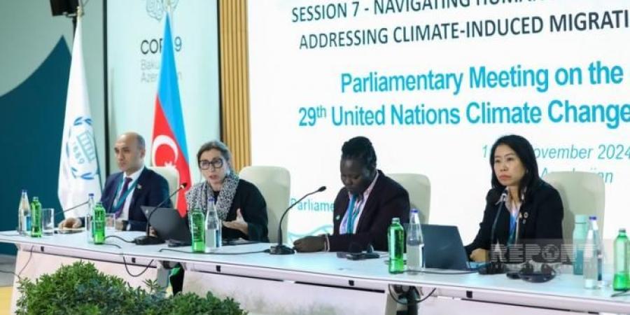 COP29.. حلول جديدة لقضايا النزوح القسري والهجرة الناجمة عن تغير المناخ