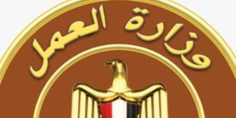 الاتحاد الدولي للتوظيف: مشروع قانون العمل الجديد خطوة مهمة نحو تطوير المنظومة