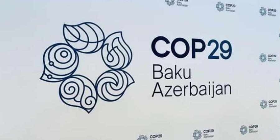 COP29 يرفع رأس المال البشري من أجل المستقبل الأخضر