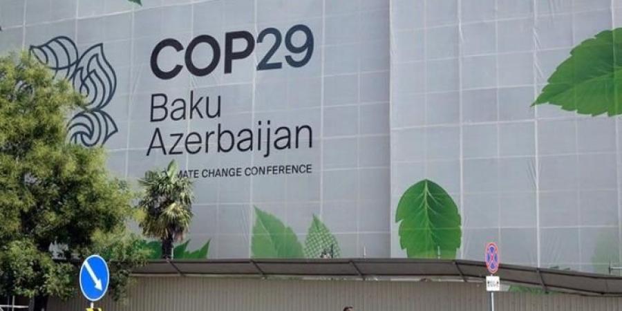 COP29.. نتائج مثيرة في تصنيف أفضل الجامعات في العالم من حيث الاستدامة