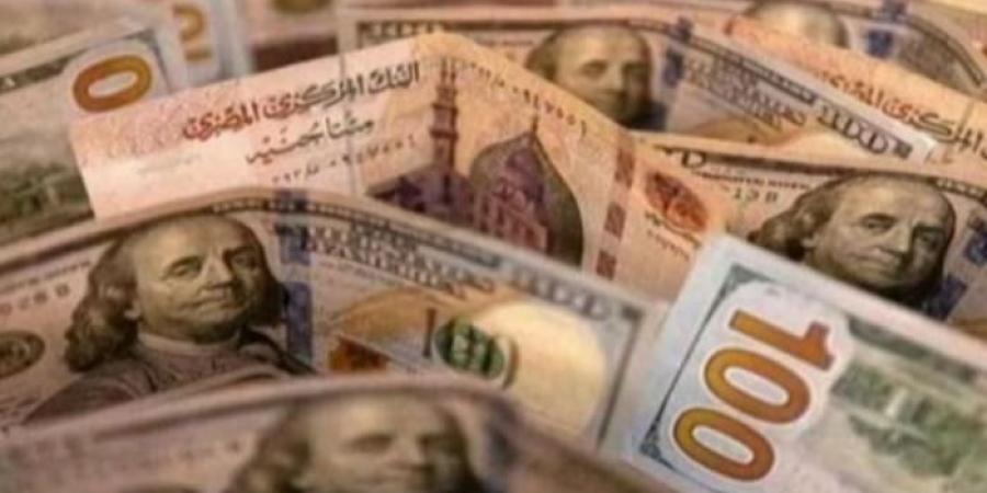 سعر الدولار اليوم في مصر الثلاثاء 19 نوفمبر 2024..