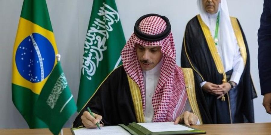 السعودية والبرازيل لإنشاء مجلس تنسيقي بين البلدين