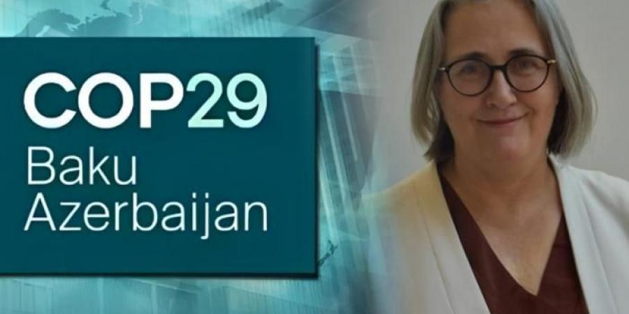 في مؤتمر COP29.. دراسة تطوير الجمارك الخضراء لتسهيل التجارة المستدامة