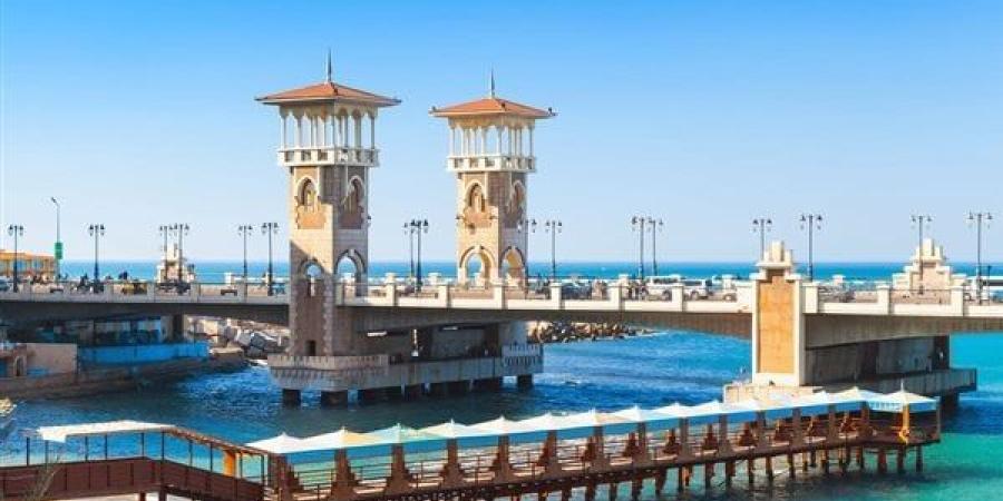 نشرة الإسكندرية | السجن 3 سنوات للمتهم بدهس عامل دليفري.. واستمرار رفع درجة الاستعداد القصوى